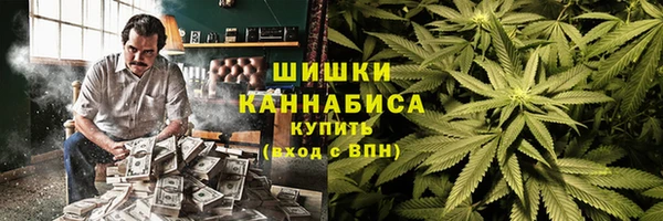 2c-b Горняк
