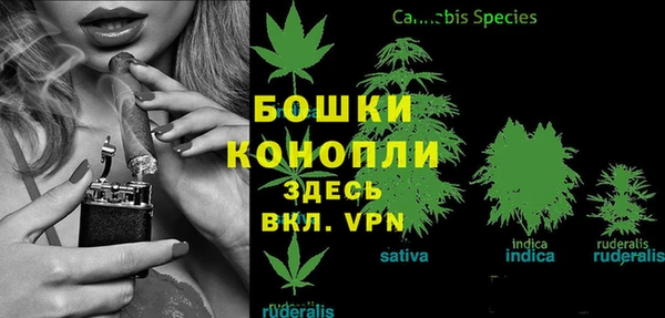 2c-b Горняк