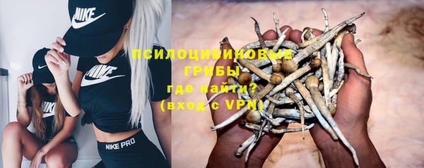 2c-b Горняк