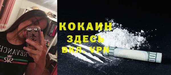 дмт Гусь-Хрустальный
