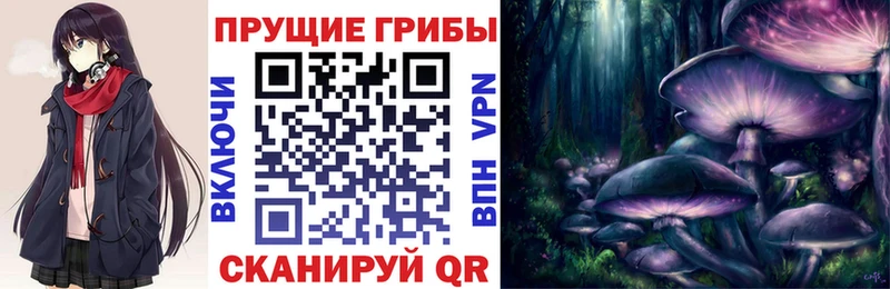 Галлюциногенные грибы ЛСД  Камышин 